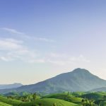 header hero 1 150x150.jpg